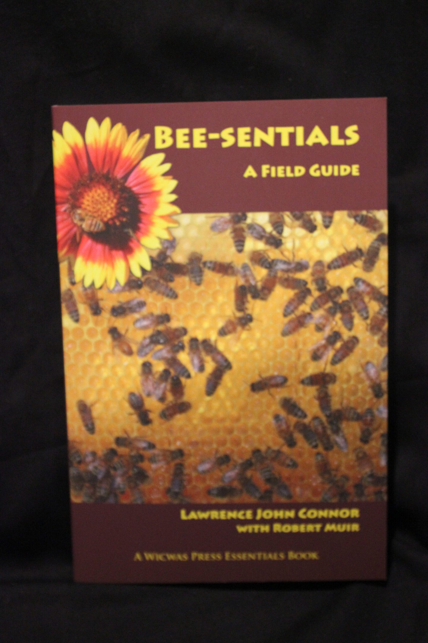 BEE-SENTIALS.....A Field Guide image 0