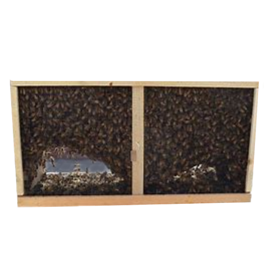 2024 - 3 Lb. Italian Honey Bee Packages With Marked Queen  Out of Stock image 0