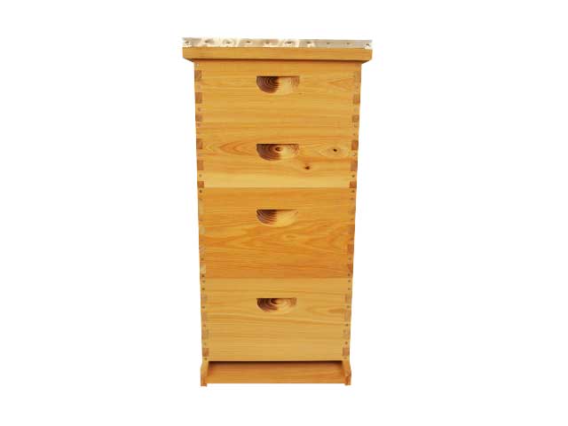 Growing Pine Hive (Assembled) image 0