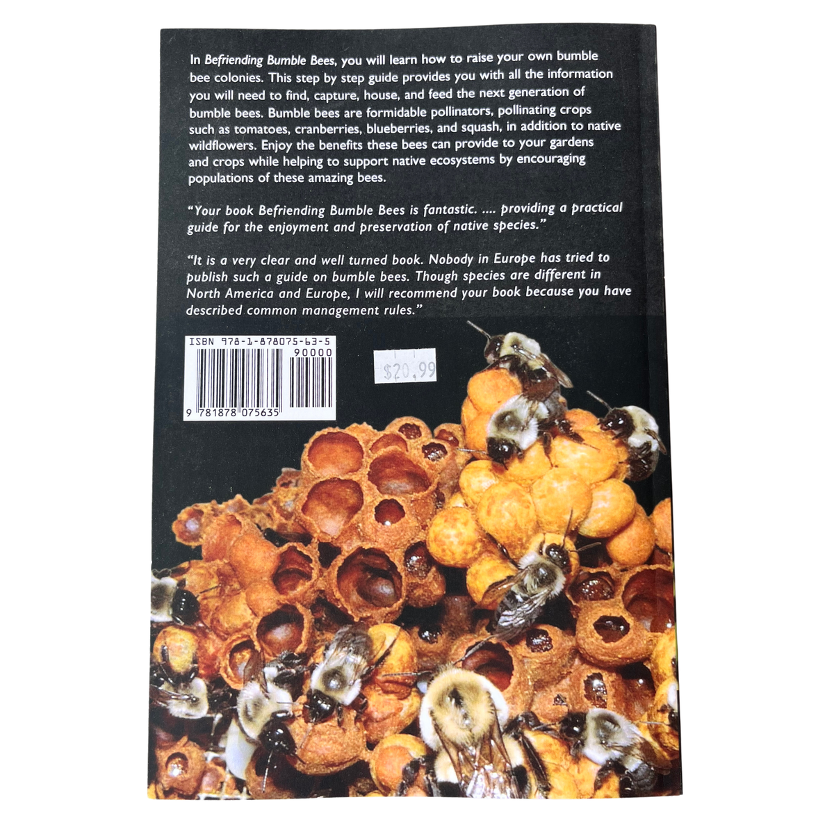 Befriending Bumble Bees