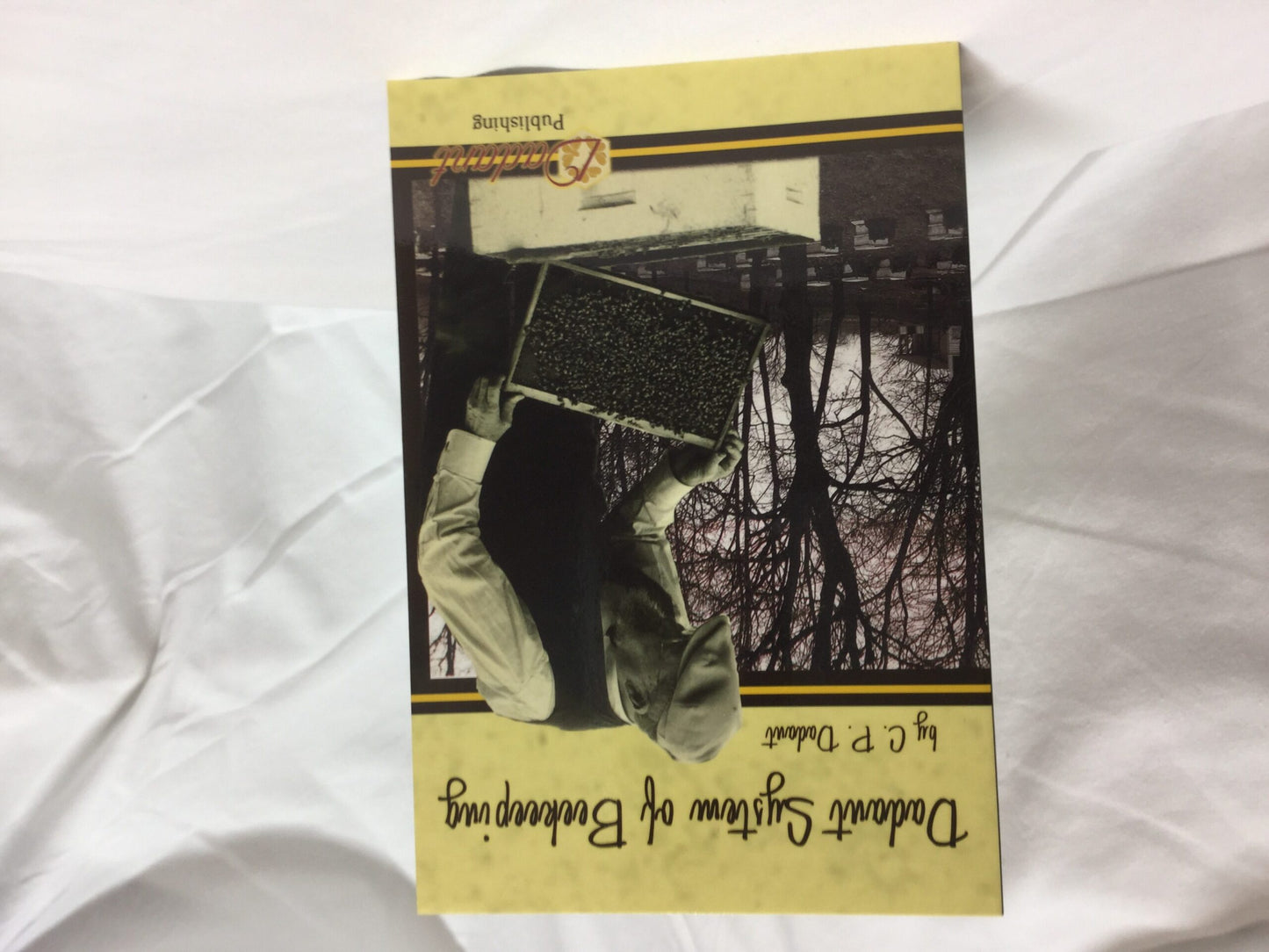 Dadant System of Beekeeping -Book image 0