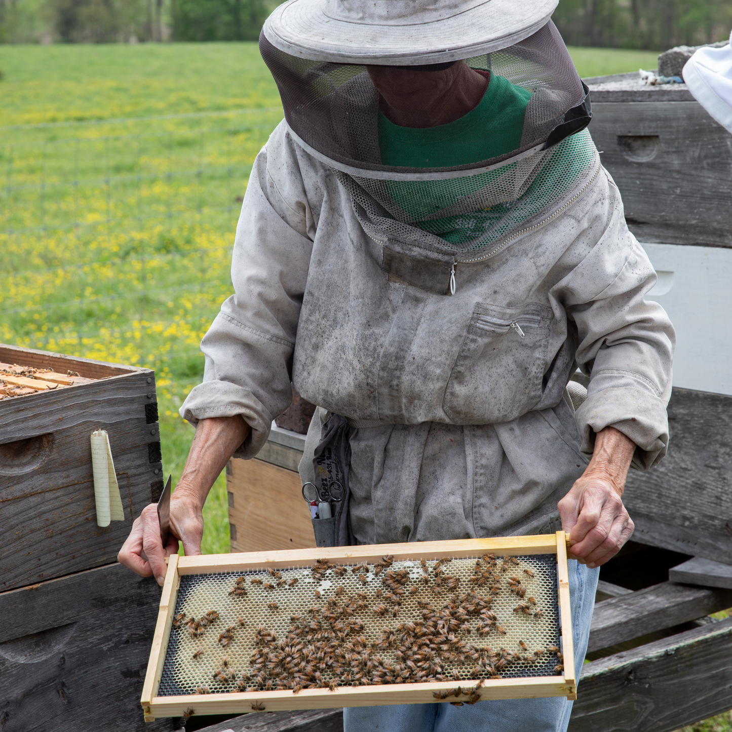 Intro to Beekeeping