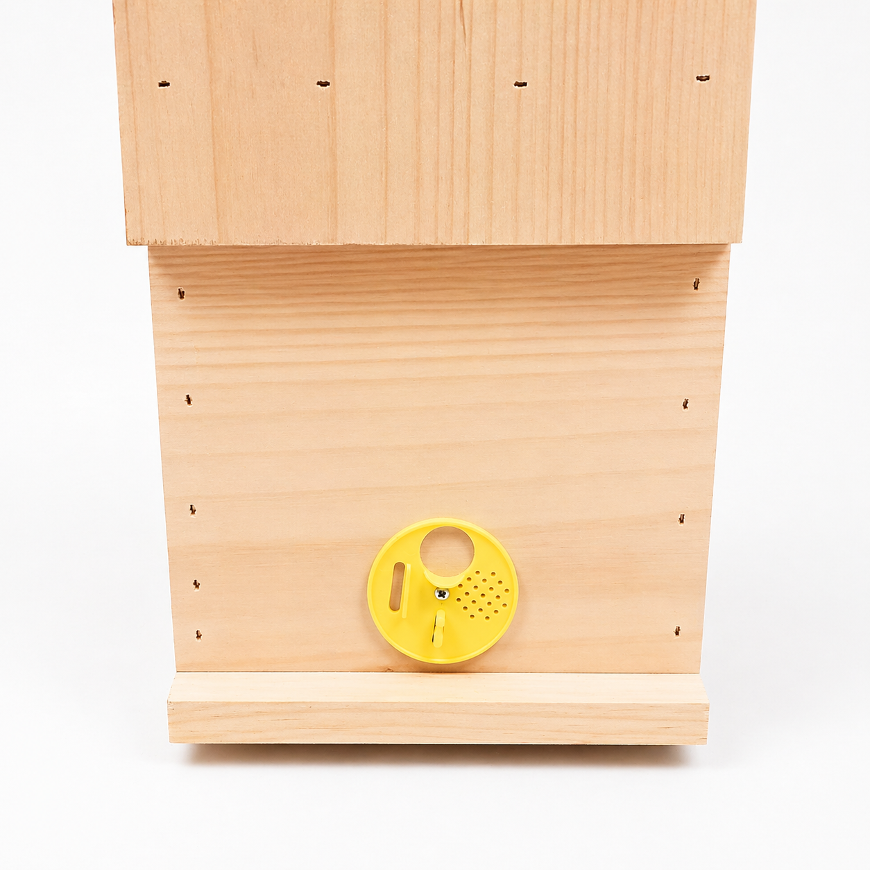 5-Frame Observation Hive