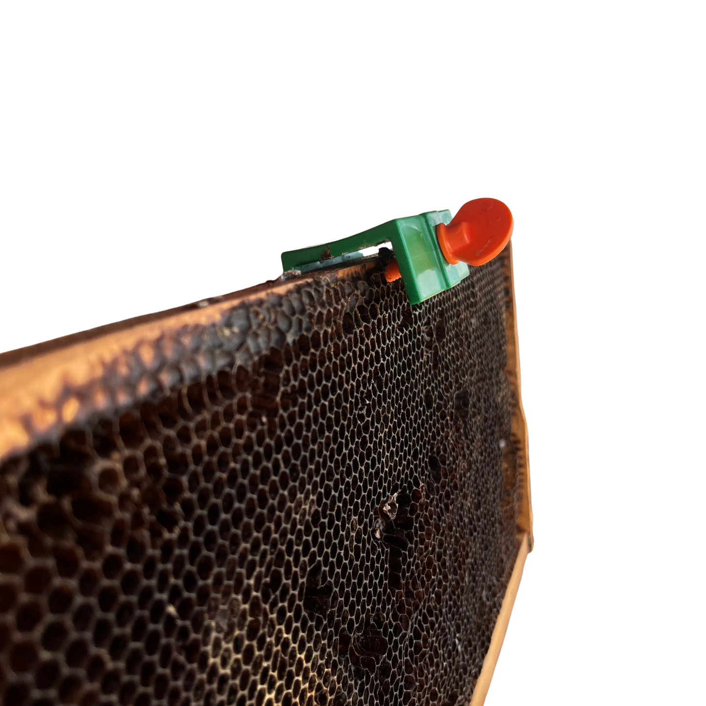 Swarm Reacher