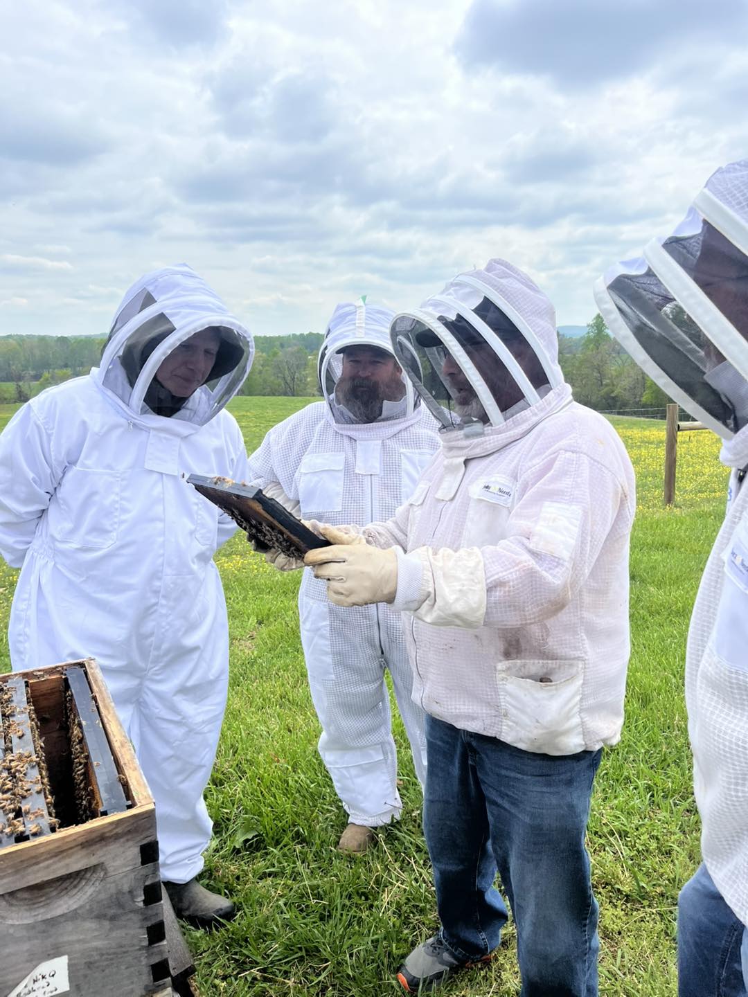 Beginner Beekeepers