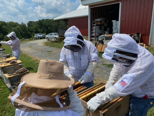 In-Hive Classes (Hands on Apiary Classes)
