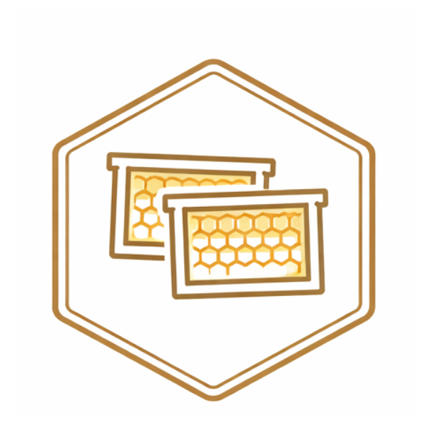 Frames and Foundation