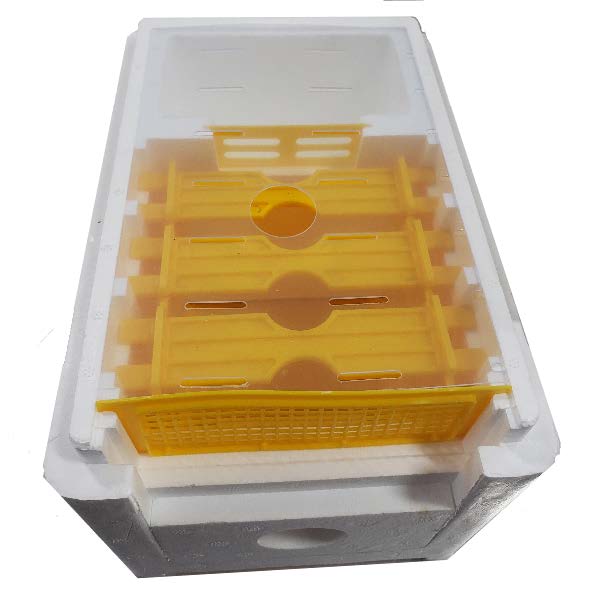 Styrofoam Mini Mating NUC