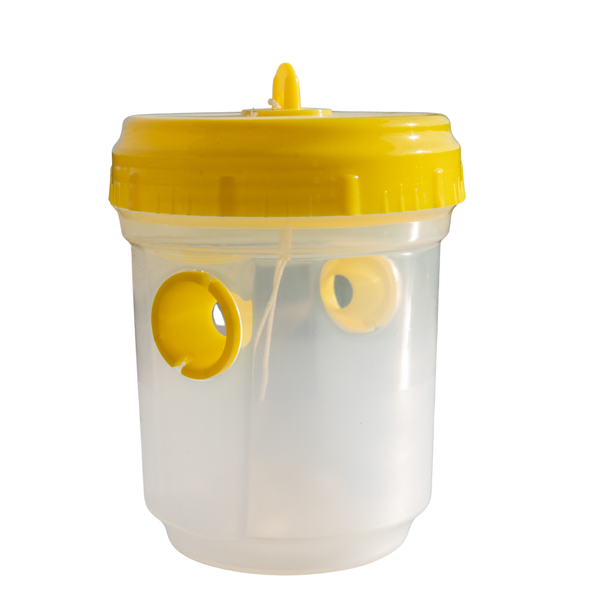 Wasp Trap