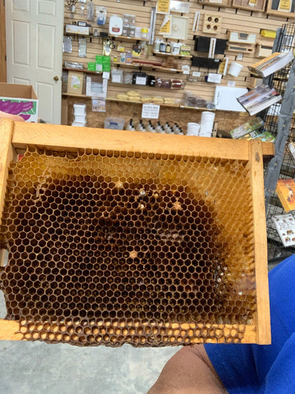 The Easy See image 1