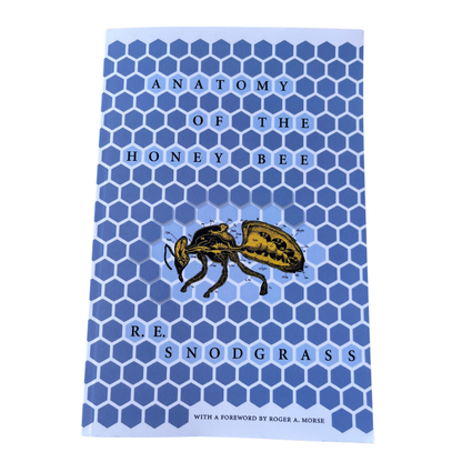 Anatomy Of The Honey Bee