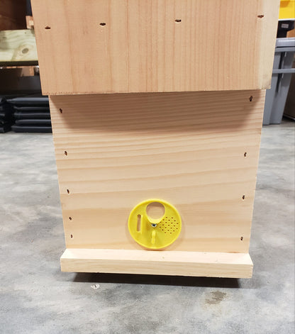 5-Frame Observation Hive image 3