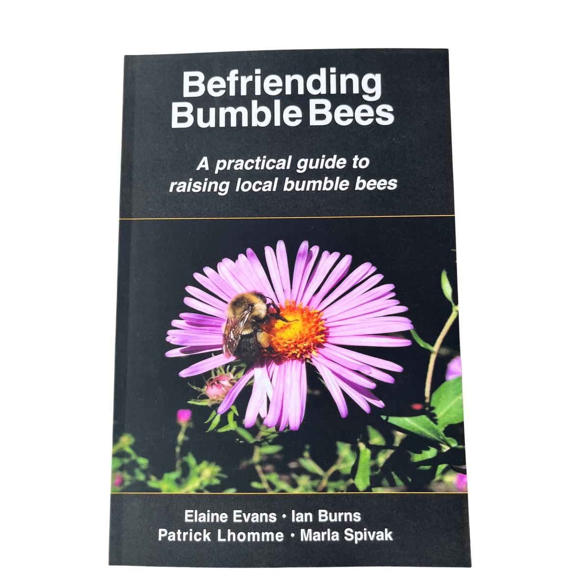 Befriending Bumble Bees