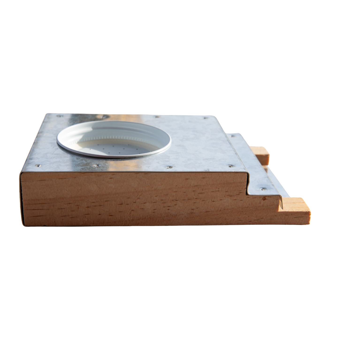 Boardman Entrance Feeder and Lids