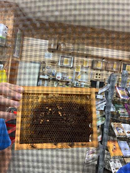 The Easy See image 2