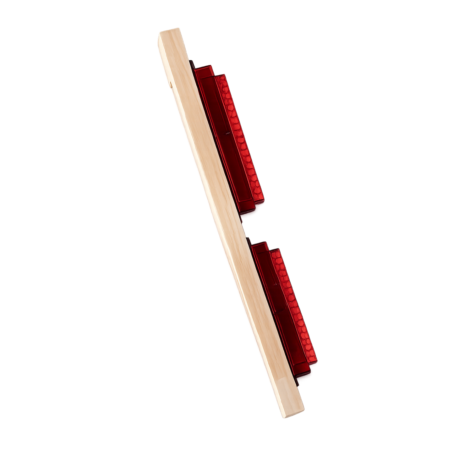 Guardian Beetle Trap