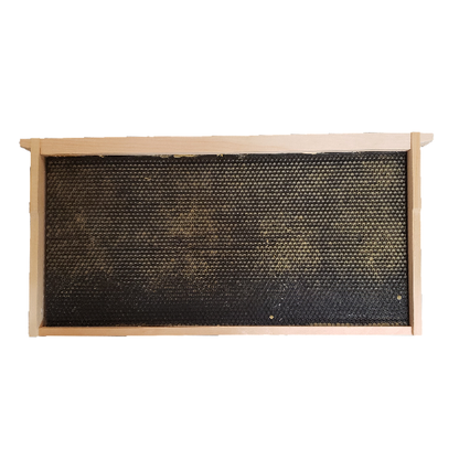 Assembled Wood Frames with Foundation image 0