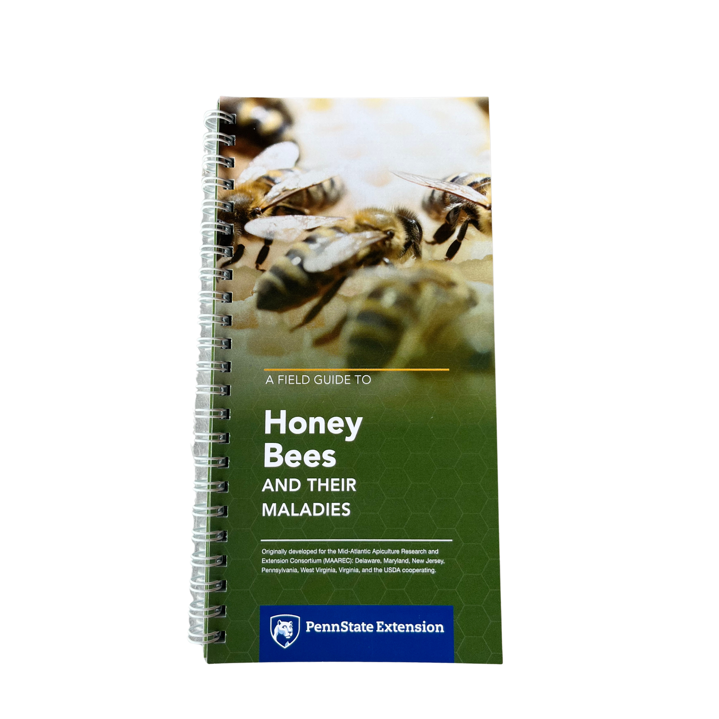 HONEYBEES AND THEIR MALADIES - A FIELD GUIDE