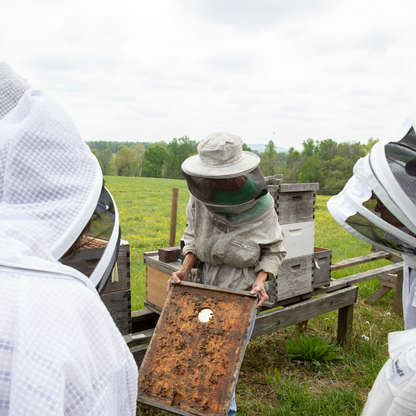 Hands on In Hive Classes (Call or Email to Resister)