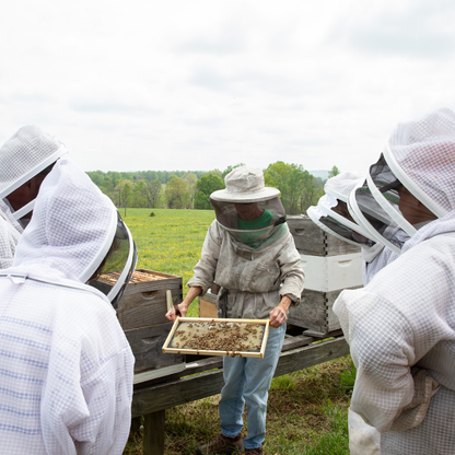 Hands on In Hive Classes (Call or Email to Resister)