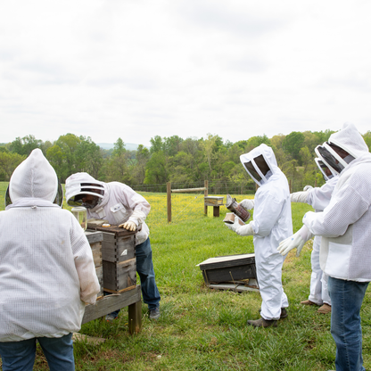Hands on In Hive Classes (Call or Email to Resister)
