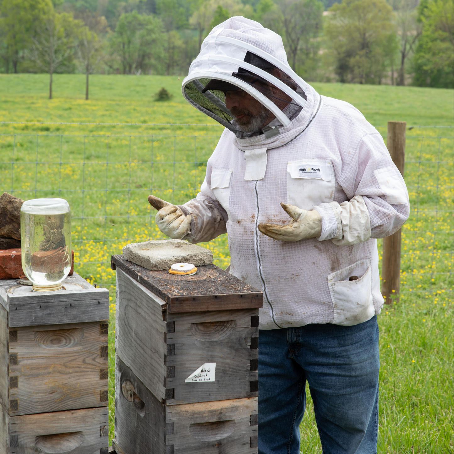 Intro to Beekeeping