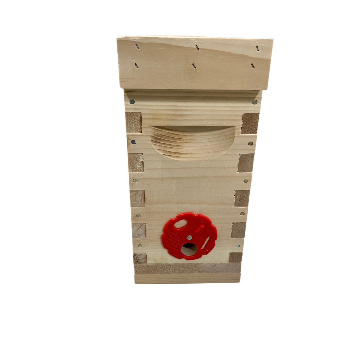 3 Frame Nuc