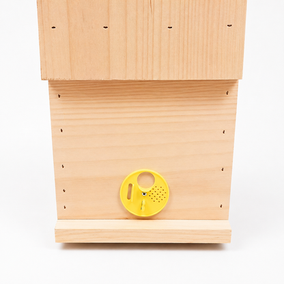 5-Frame Observation Hive