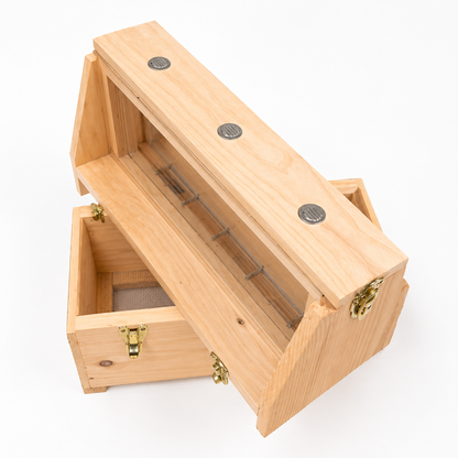5-Frame Observation Hive