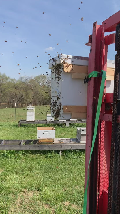 Custom Swarm Trap
