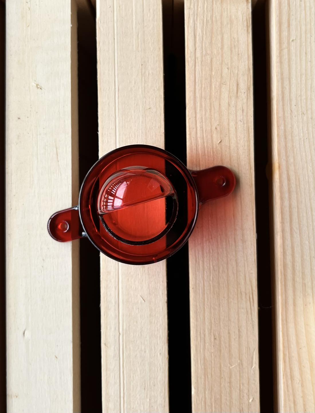 Guardian Beetle Trap