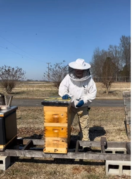 Steven is talking all things spring beekeeping 🌼🐝 Checking your bees coming out of winter, making sure they have enough feed, and even switching boxes around to help prevent swarming. Now’s the time to stay ahead of the season and set your colonies up for success!