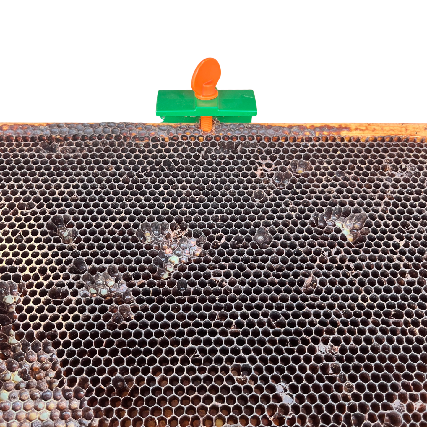 Swarm Reacher