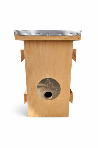 Custom Swarm Trap